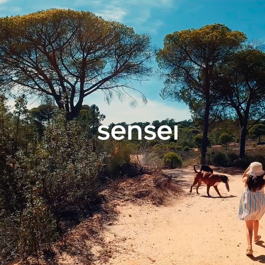 Sensei Tech - O futuro ao teu serviço